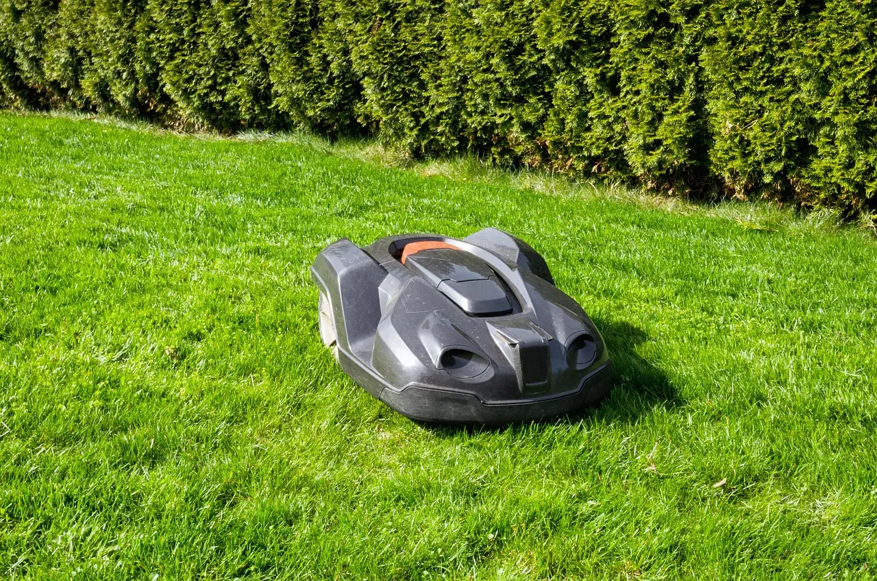 grass, lawn, summer, nature, garden, landscape, plant, equipment, lawn mower, robotic lawnmower, robot, garden maintenance, green, gardening, rural, environment, exterior, hedge, lawn, lawn, lawn mower, lawn mower, lawn mower, lawn mower, lawn mower, robotic lawnmower, robotic lawnmower, robotic lawnmower